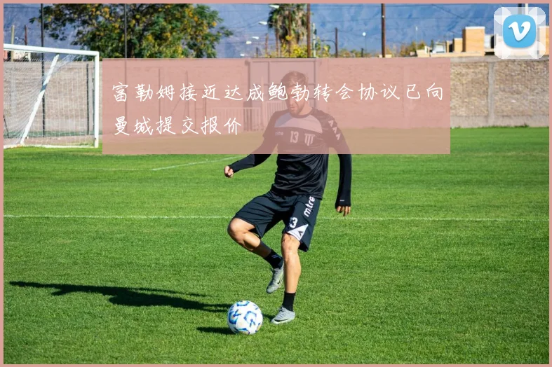 富勒姆接近达成鲍勃转会协议已向曼城提交报价